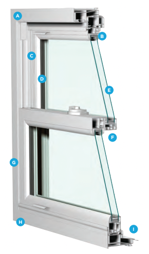 6000 double-hung Window World