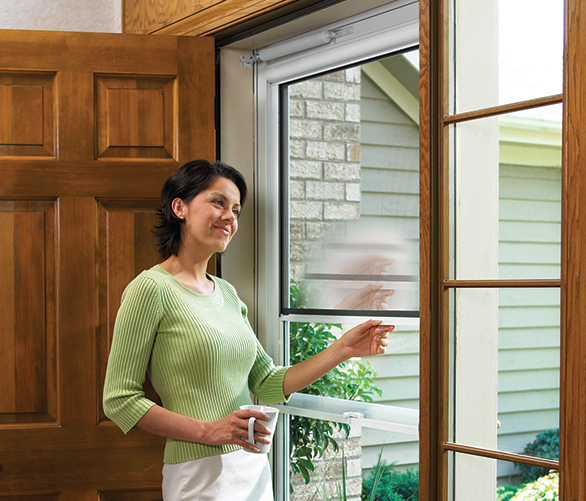 Storm Doors Window World TX