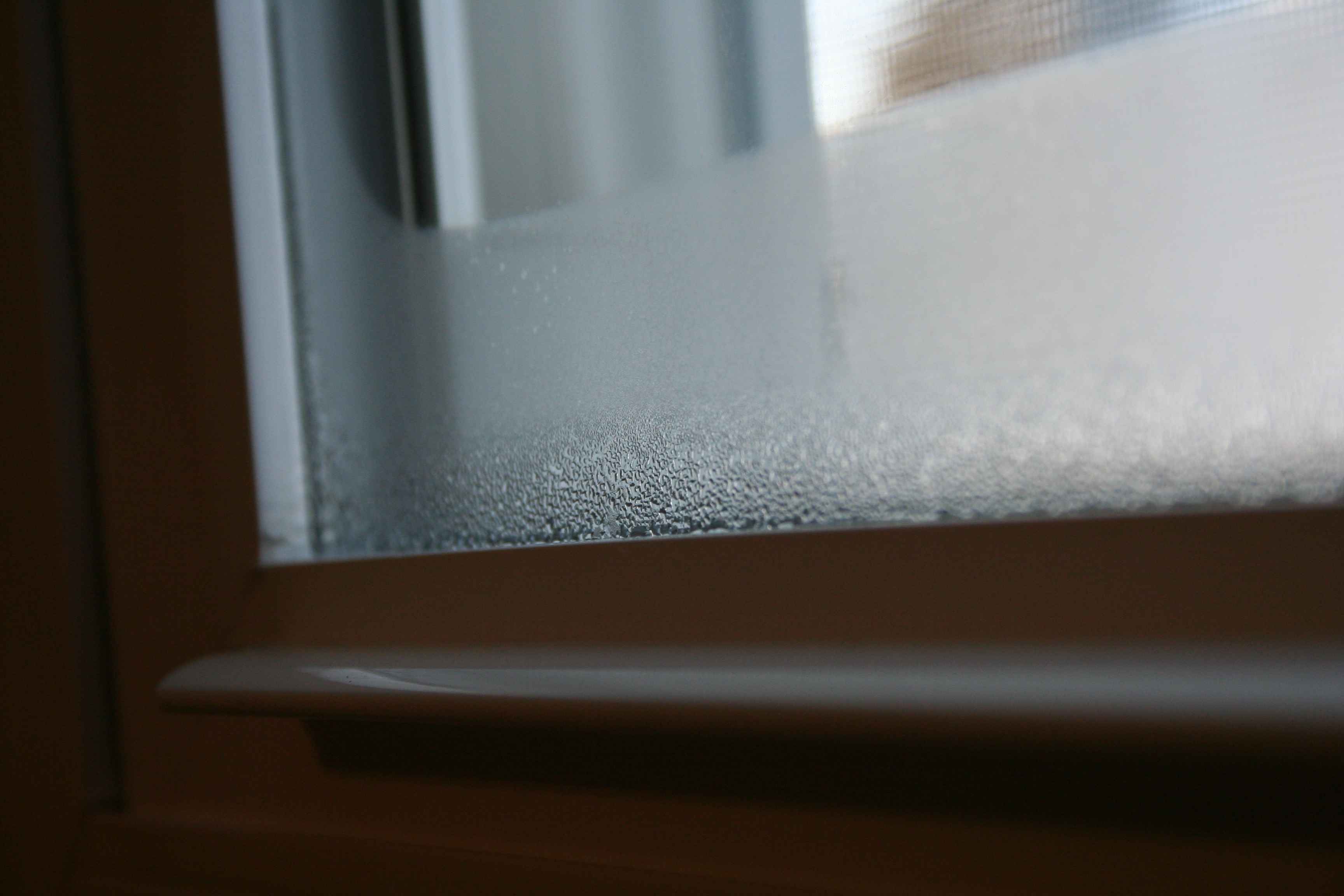 Insulated Glass Seal Failure, window condensation