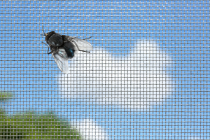 Keep bugs out of house Window World TX